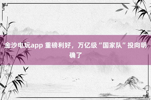 金沙電玩app 重磅利好，萬億級“國家隊”投向明確了