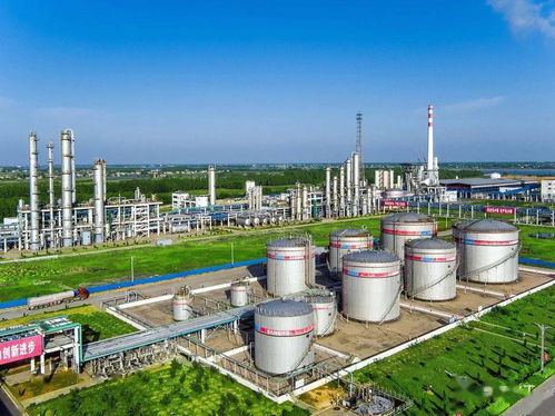 高效運維與技術創新并重——訪錦綸公司設備科負責人嚴敏