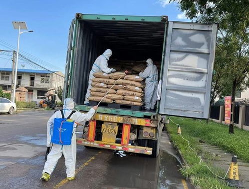 疫情風暴來襲，化工行業面臨全域封控下的檢修停產潮